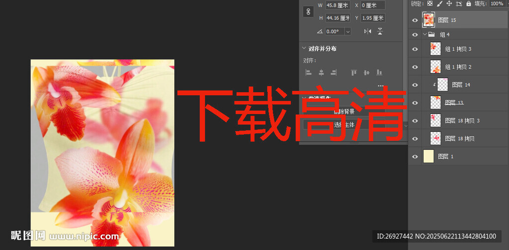花卉