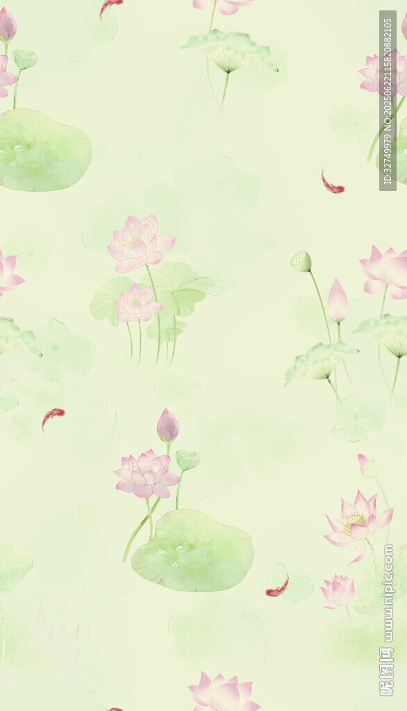 荷花