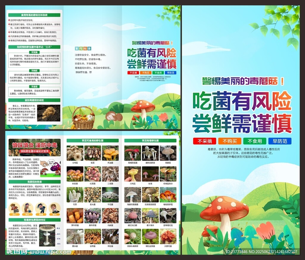 預(yù)防野生菌中毒折頁