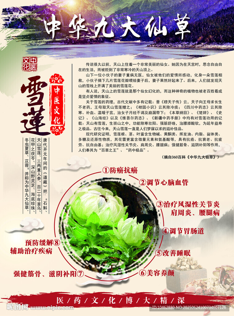 中華九大仙草雪蓮宣傳單頁
