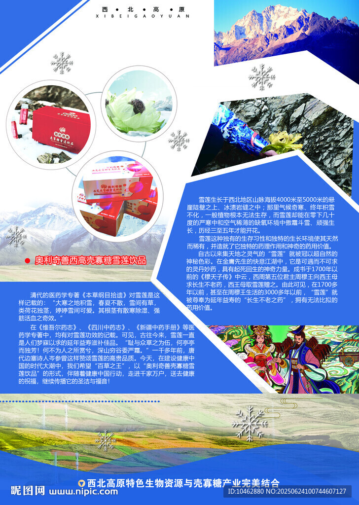 雪蓮產(chǎn)品企業(yè)宣傳冊(cè)海報(bào)