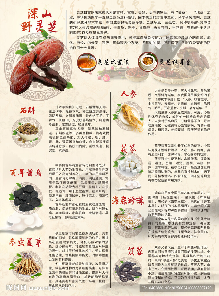 九大仙草營養食材介紹海報