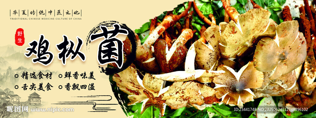 云南野生菌
