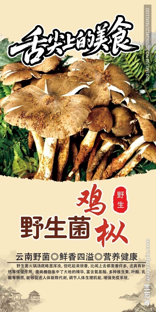野生菌海報