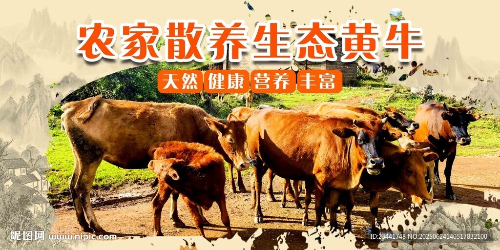 黃牛