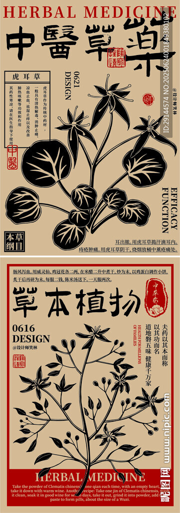 中醫(yī)草本植物插畫海報設(shè)計