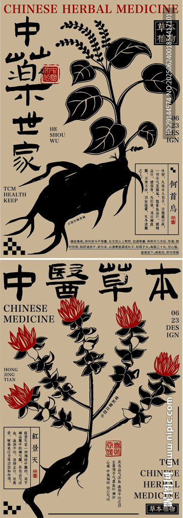 古代中藥圖譜中的中草藥材