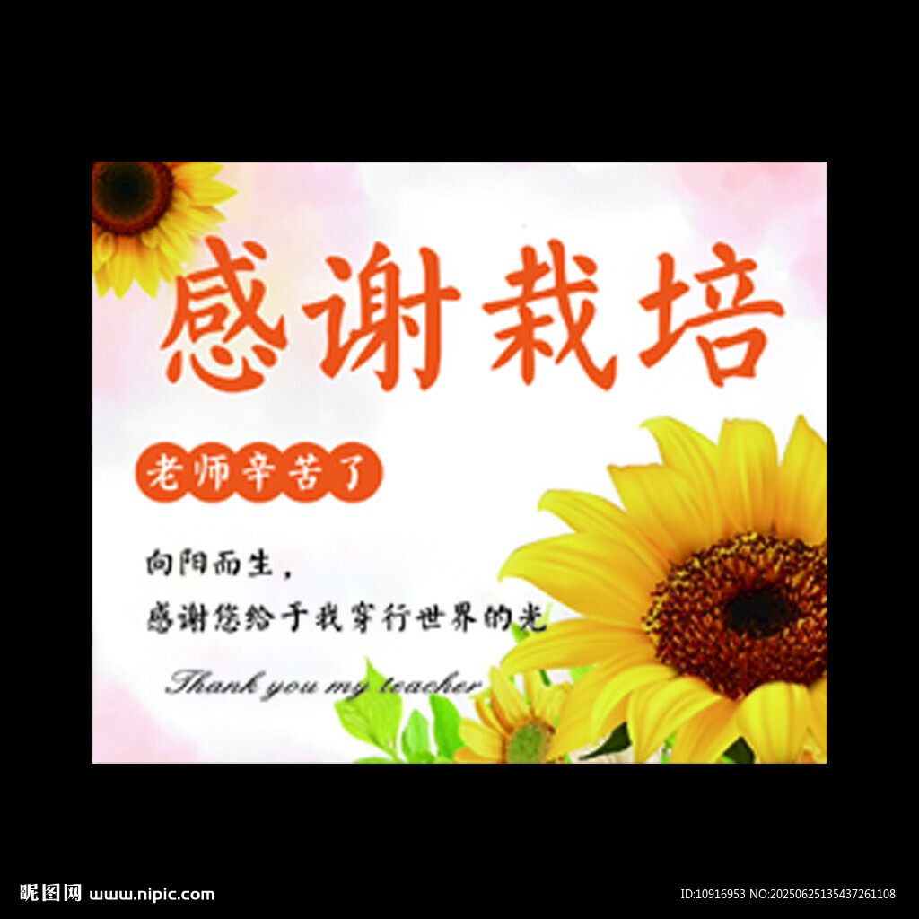 教師節(jié)卡片 感謝老師賀卡