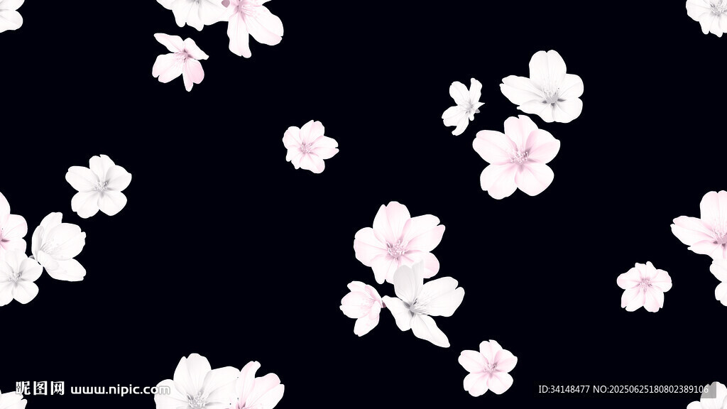 黑色背景上的白色花朵圖案