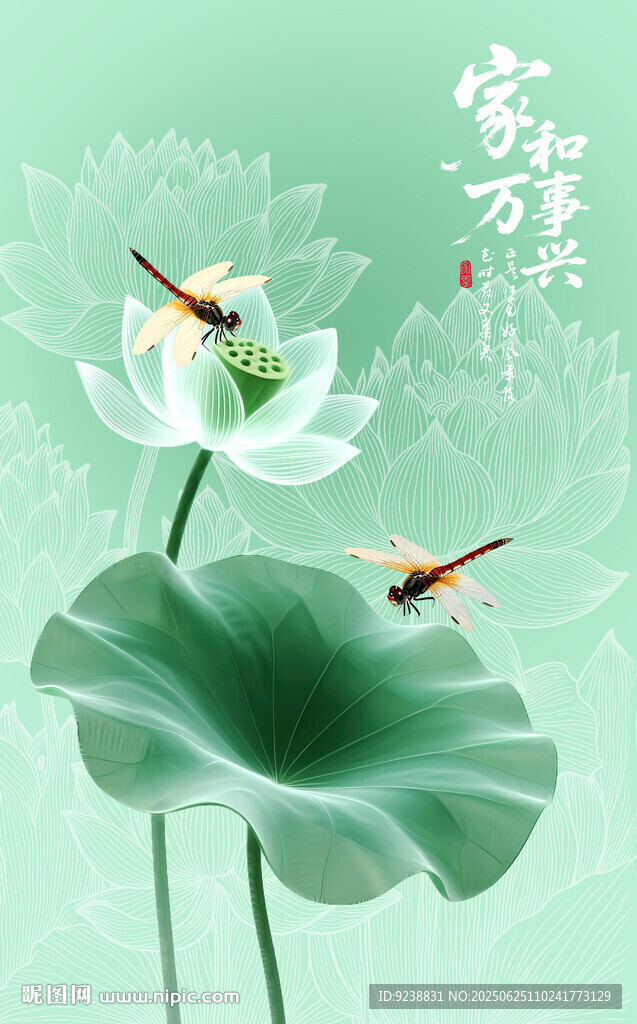 荷花插畫