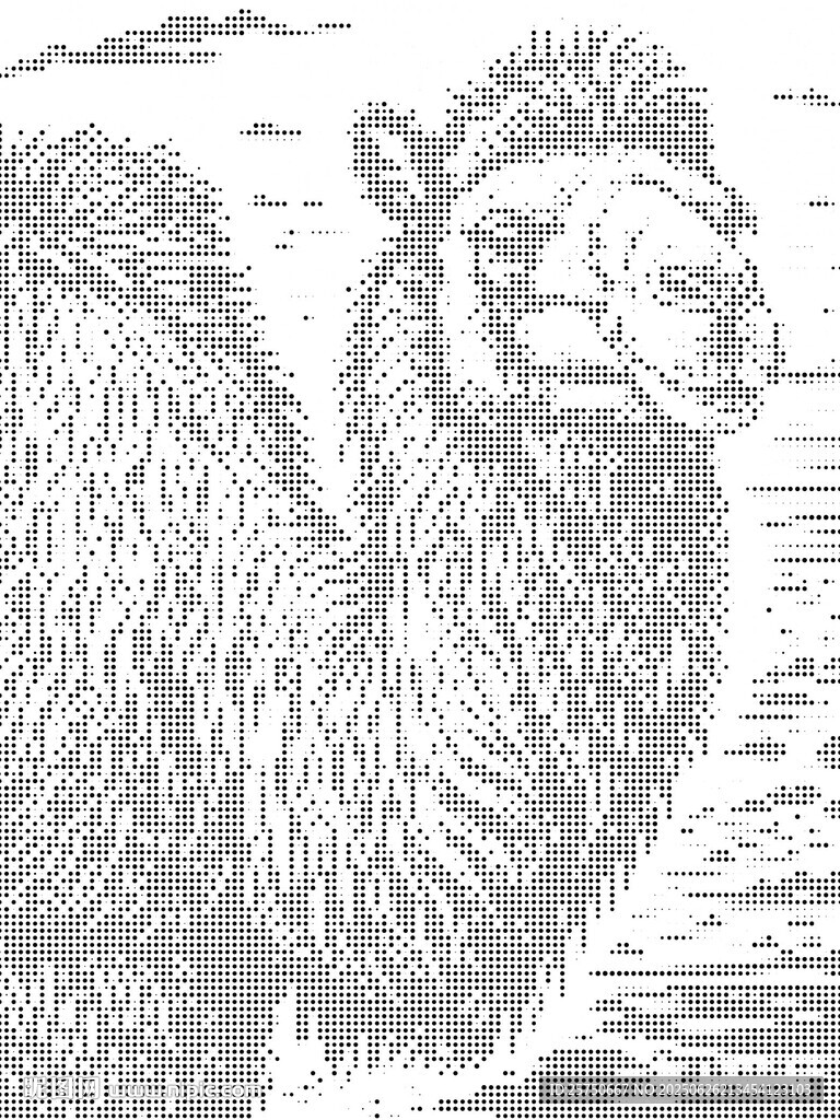 駱駝