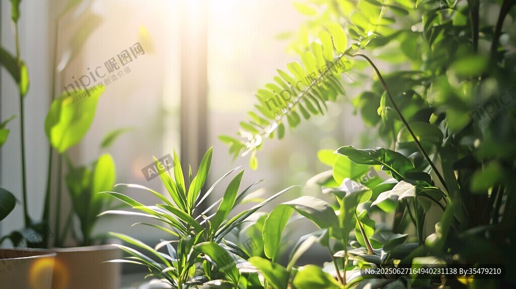 陽光灑落室內(nèi)綠植景觀