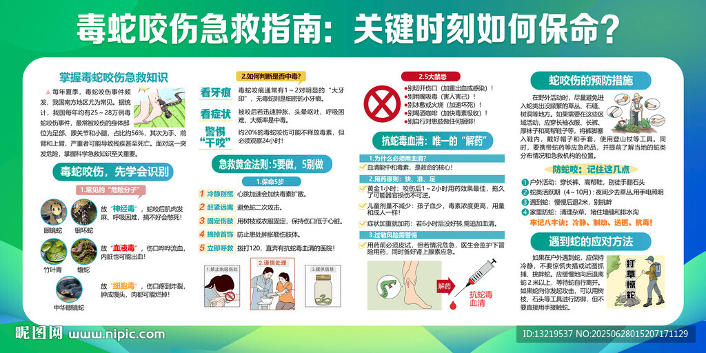 毒蛇咬傷急救知識(shí)