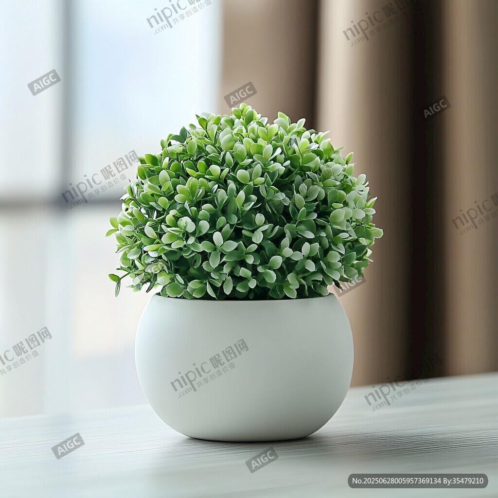 白色花盆中的清新綠植