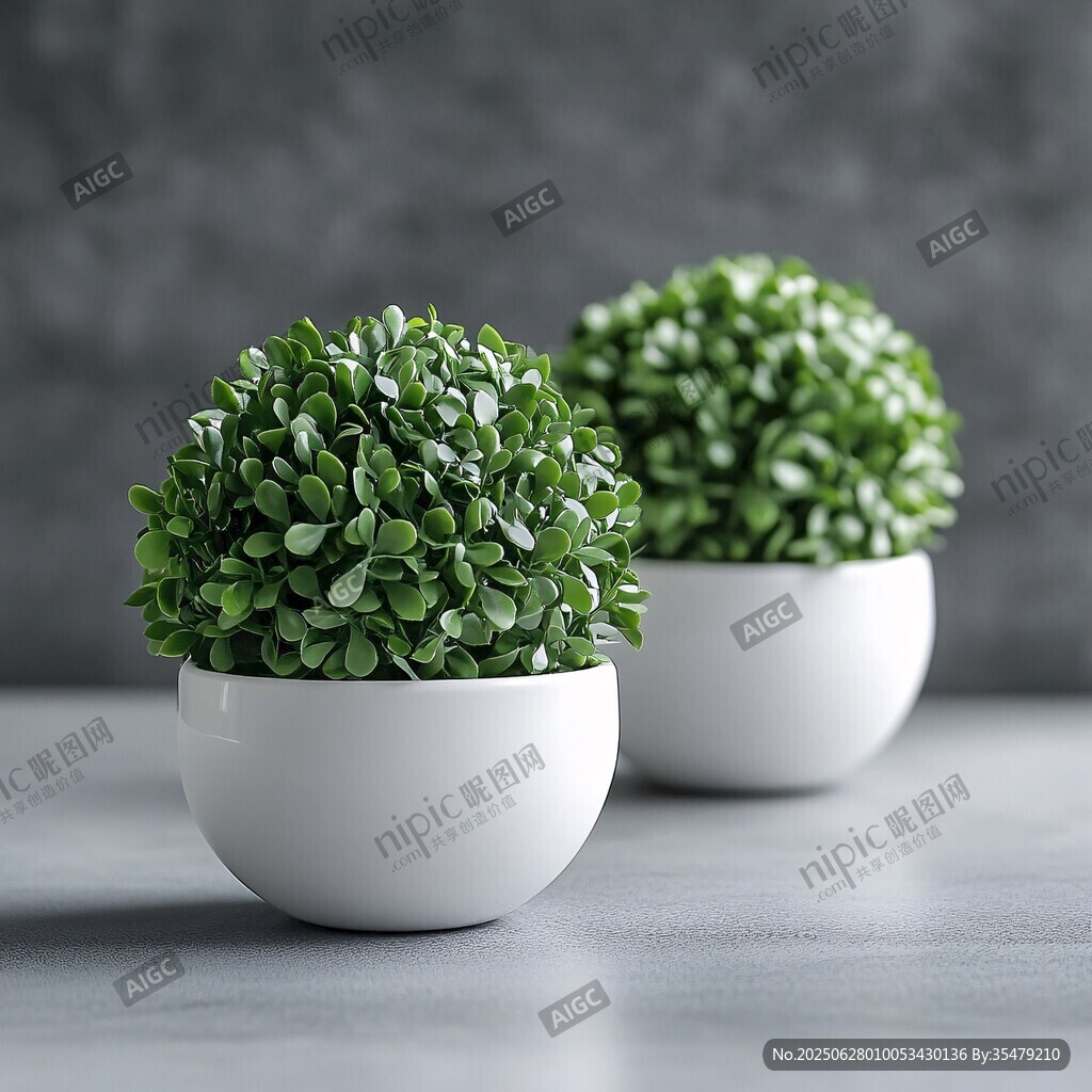 兩盆綠植小盆栽