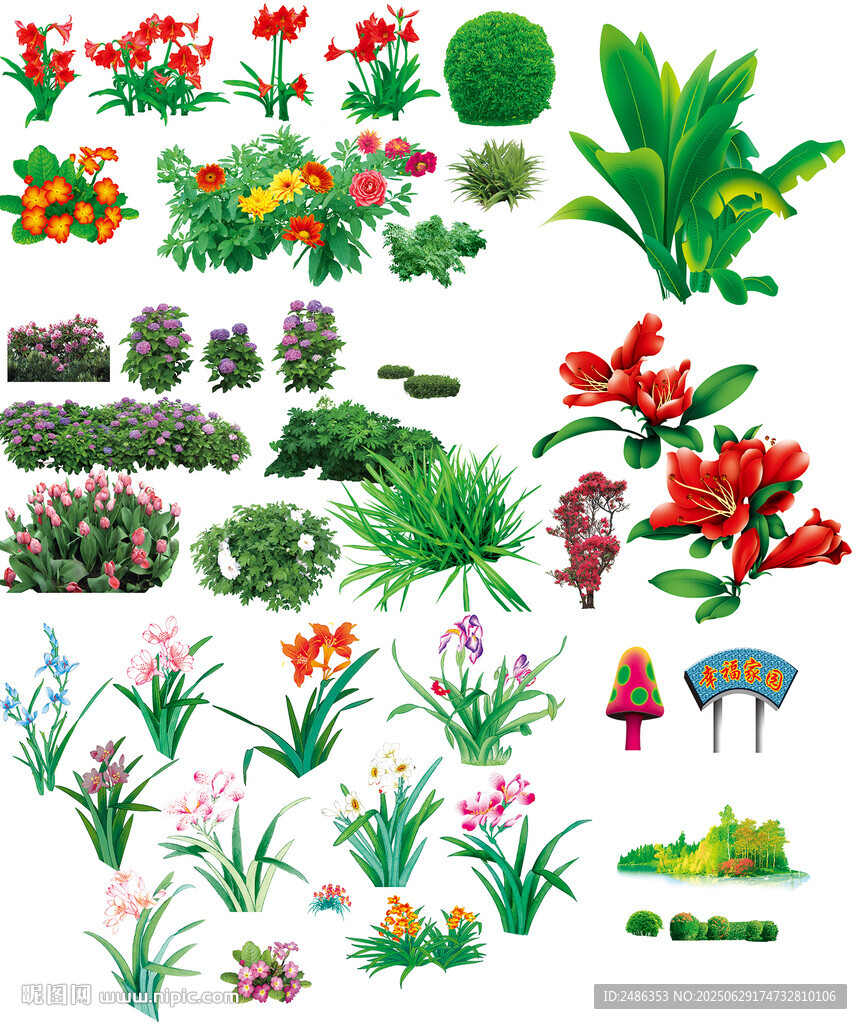 花草