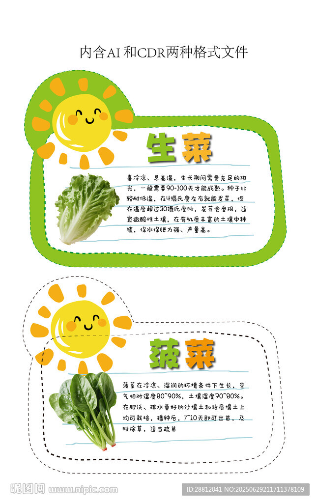 蔬菜生長過程展示