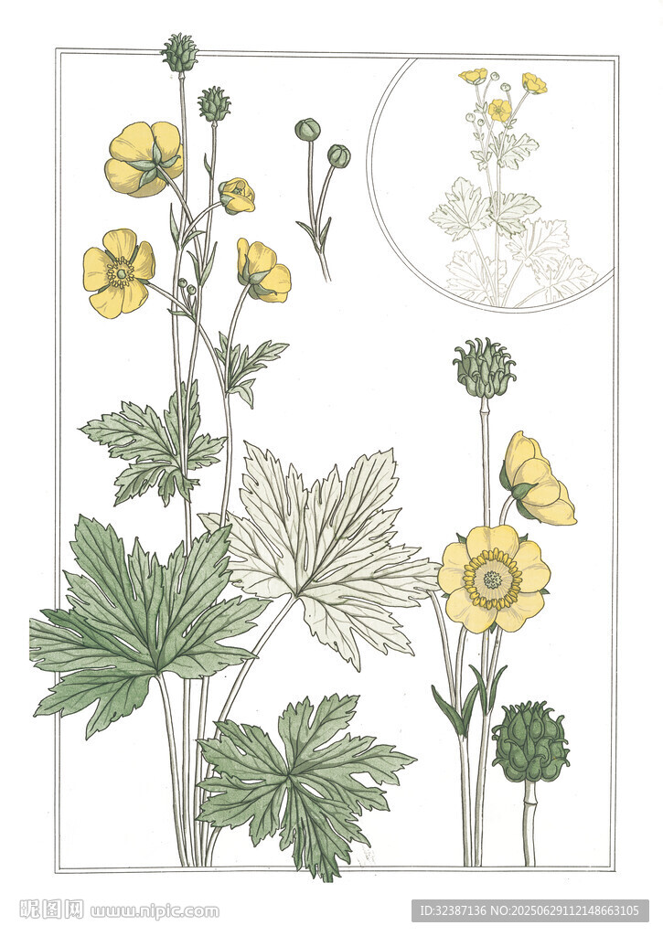 手繪花卉與蝴蝶插畫(huà)