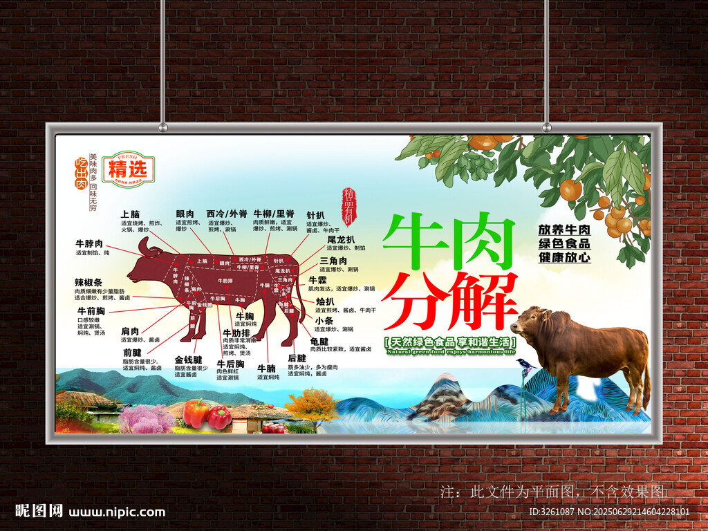 牛肉分解圖