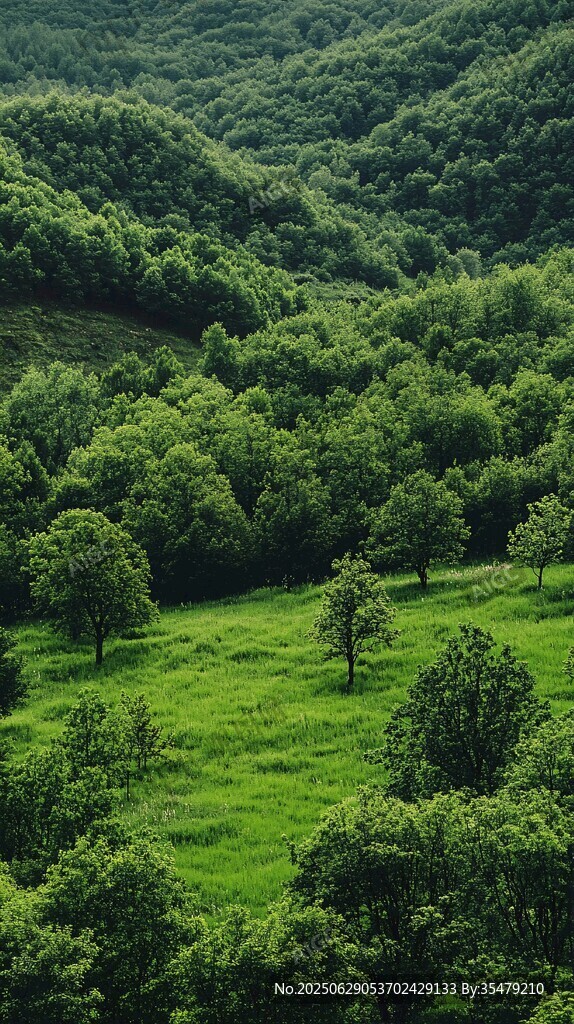 綠野山林間的自然景致