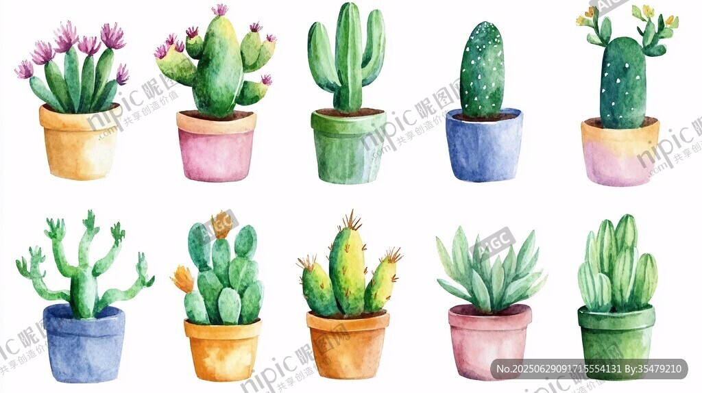 多彩盆栽仙人掌插畫集