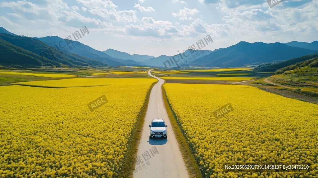 車馳花海間 遠山入眼簾