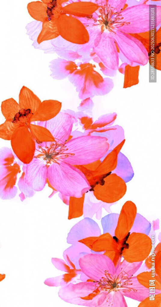 花卉