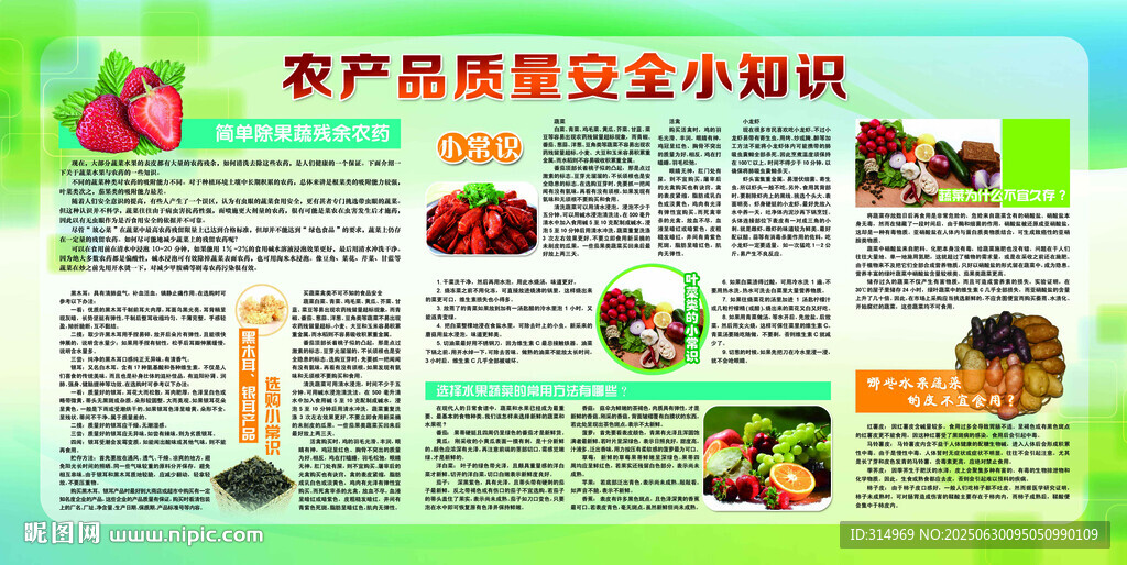 農(nóng)產(chǎn)品黑豆種植宣傳頁