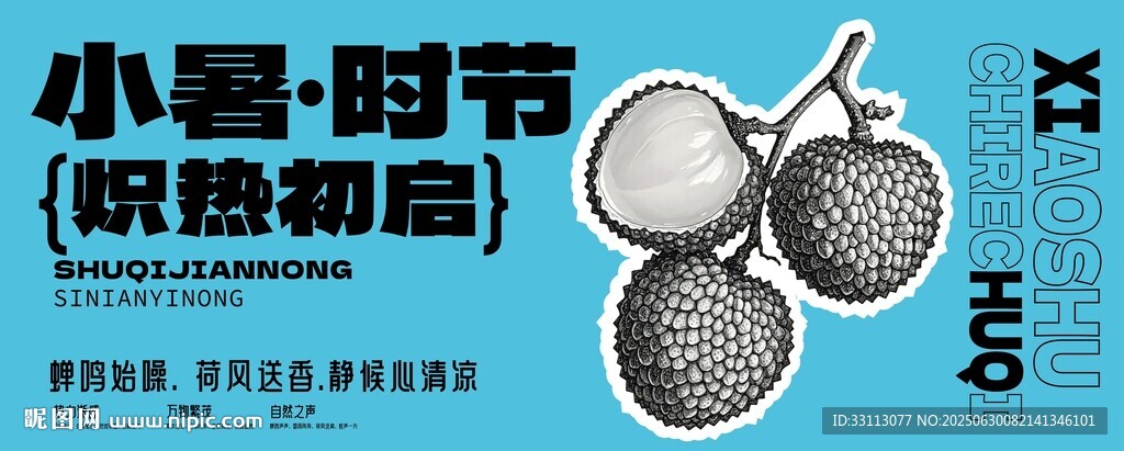 小暑時節荔枝插畫