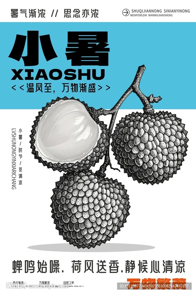 小暑荔枝時節創意海報
