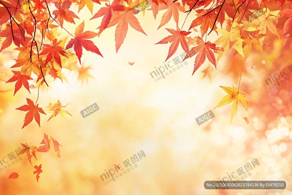 秋日楓葉飄 暖色調美景