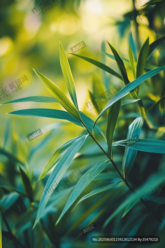 翠綠竹葉 自然清新之景