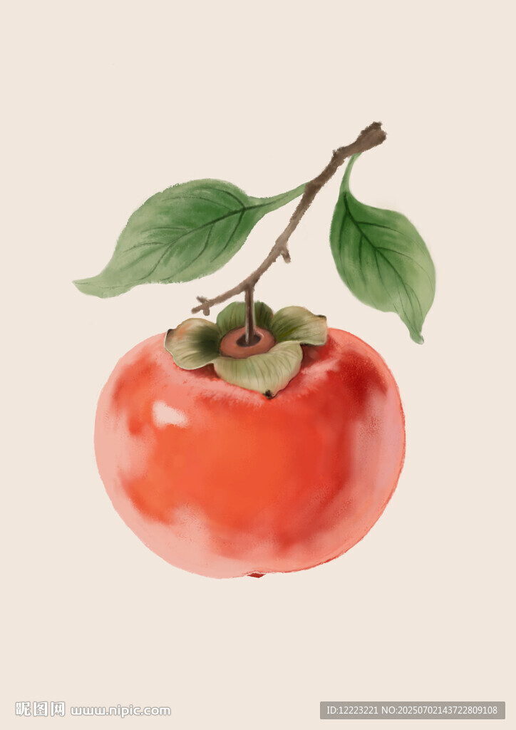 手繪插畫柿子