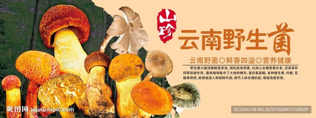 野生菌海報