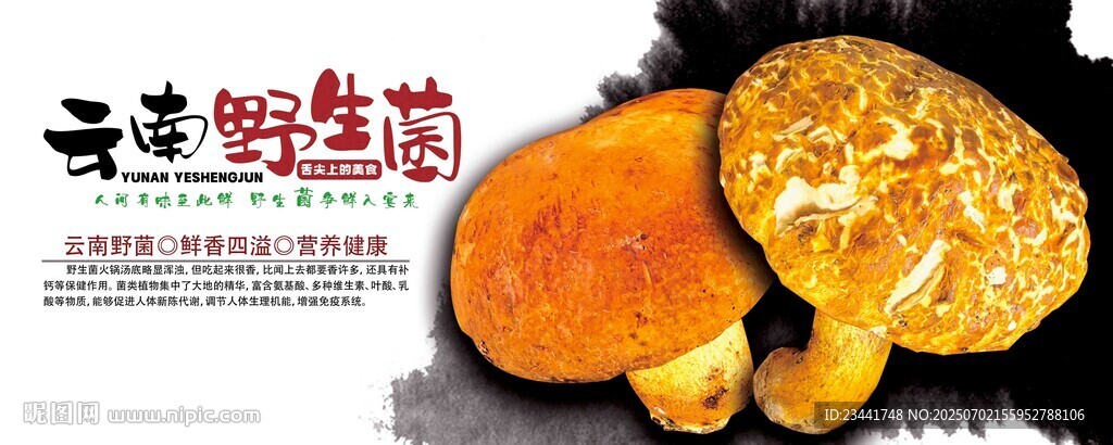 野生菌