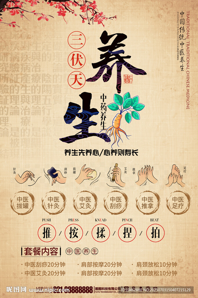 三伏天養(yǎng)生中醫(yī)養(yǎng)生中藥海報(bào)展板