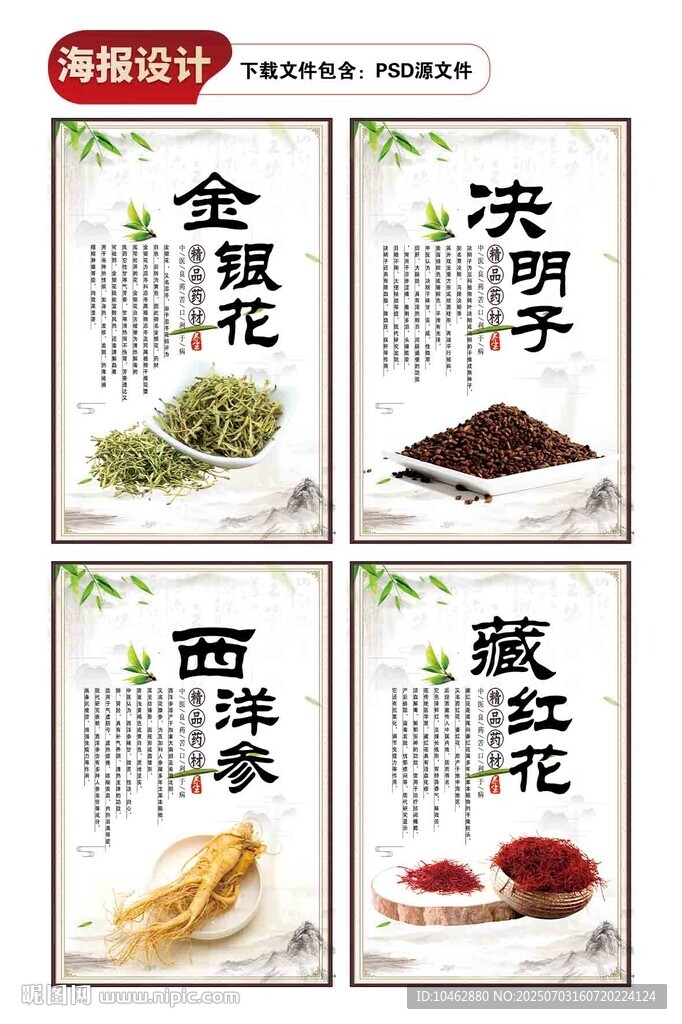 三伏天養(yǎng)生中藥材設計海報