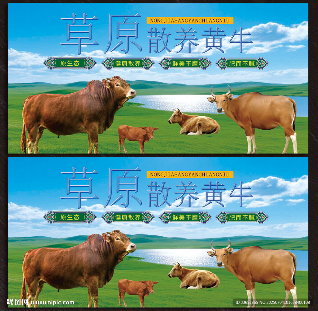 散養(yǎng)黃牛展板