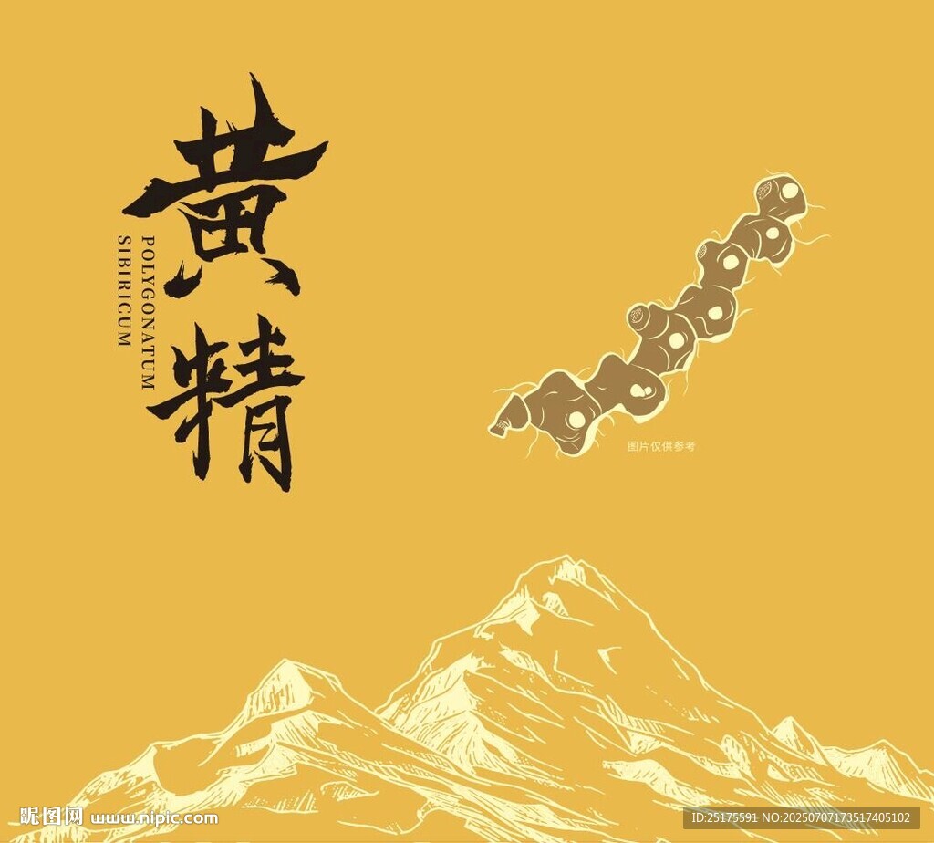 黃精中藥包裝封面設(shè)計(jì)