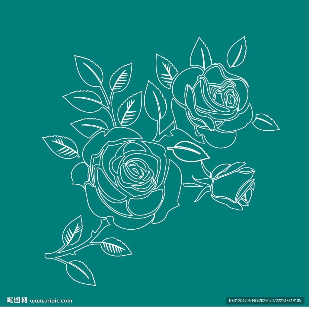 玫瑰花