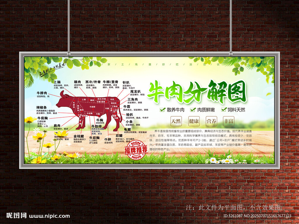 牛肉分解圖
