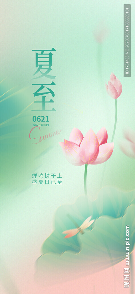 夏至時節(jié)荷花綻放圖景