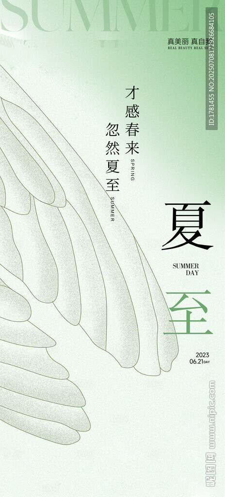 夏至節(jié)氣主題清新插畫