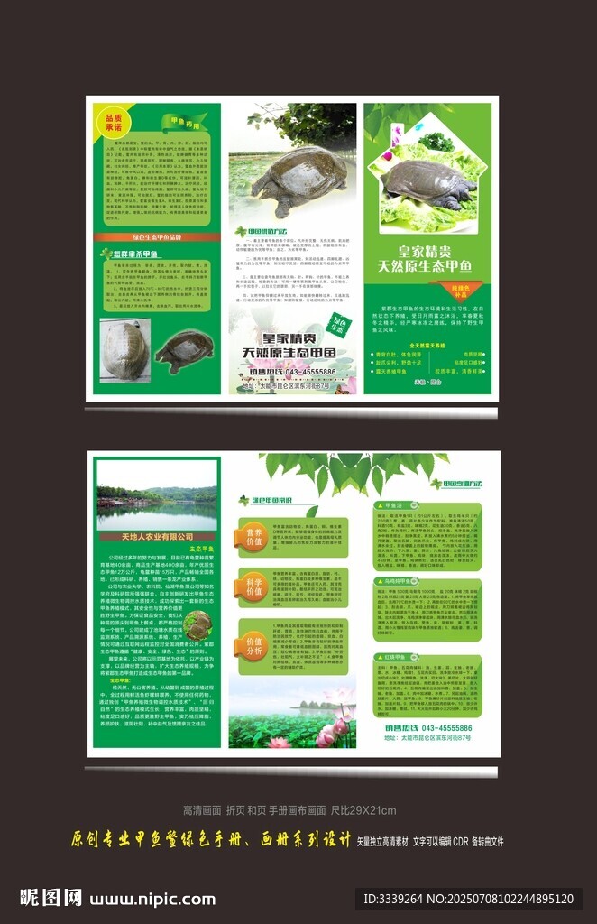 精品生態(tài)甲魚專業(yè)宣傳單折頁(yè)