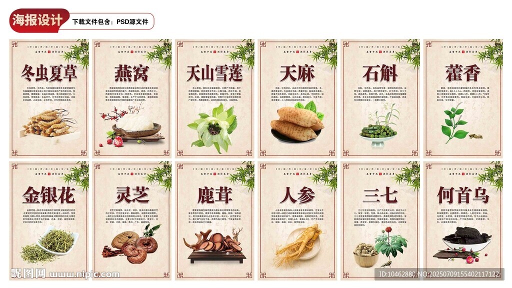中醫(yī)名貴中藥展板設(shè)計
