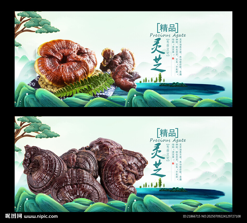 靈芝