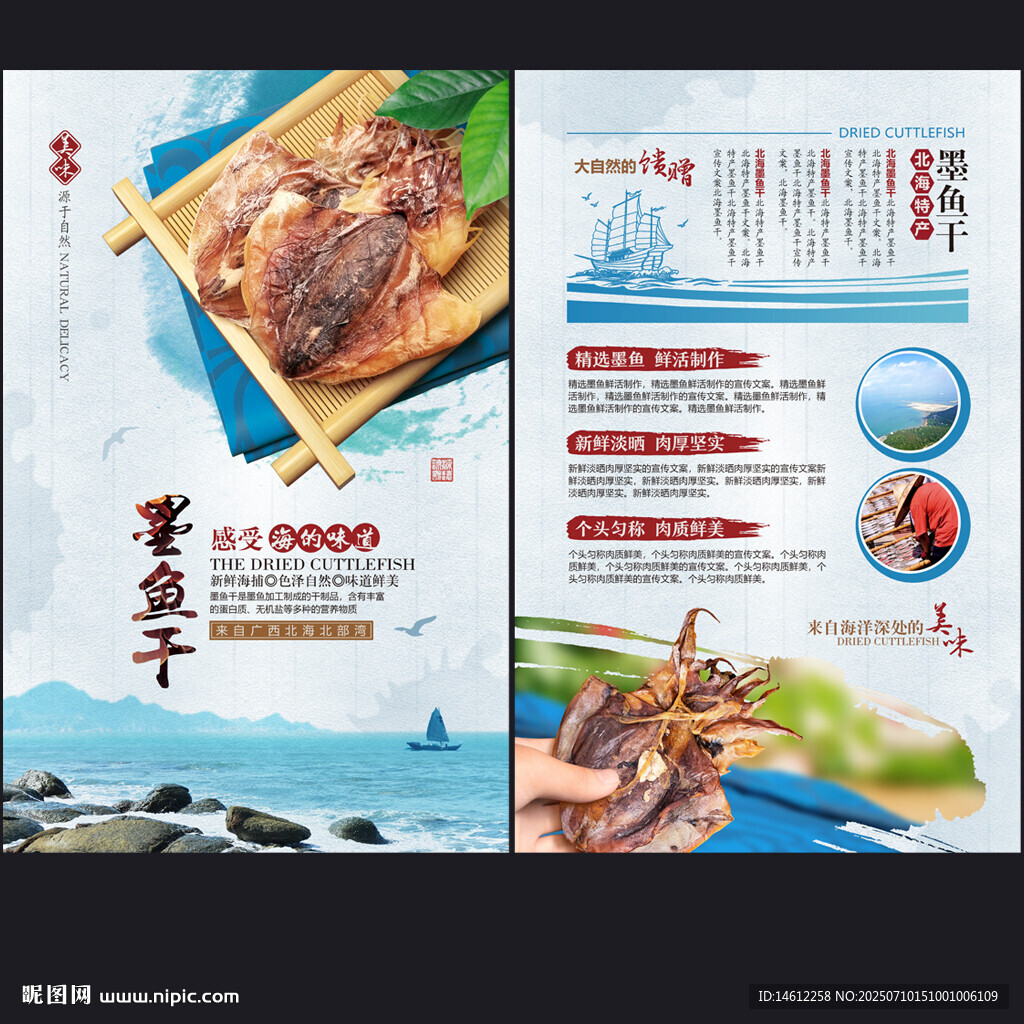 墨魚(yú)干