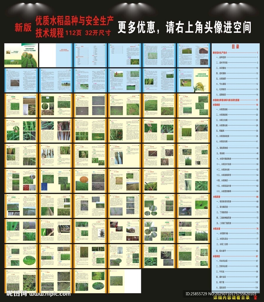 水稻種植手冊(cè)
