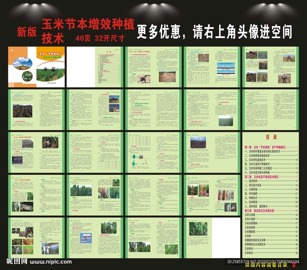玉米種植手冊