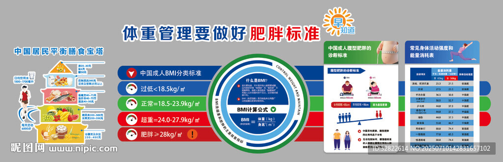 體重管理 膳食寶塔 BMI